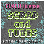 Scrap-and-Tubes-CU4-CU-License