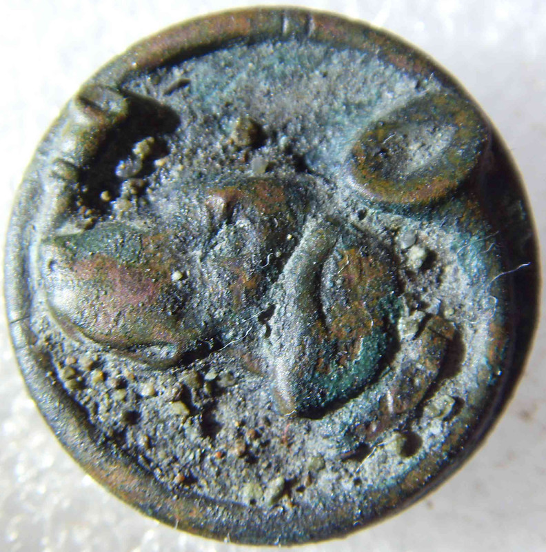 SDC11911