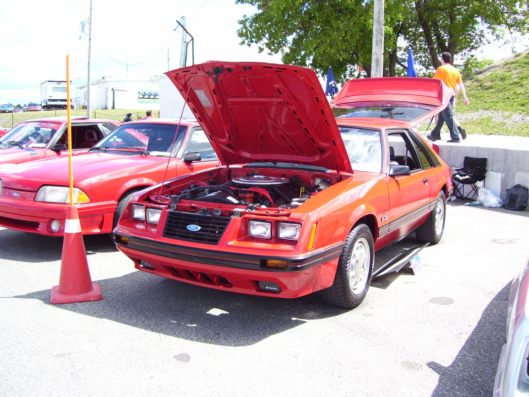 mustang - Montréal Mustang: 40 ans et + d’activités! (Photos-Vidéos,etc...) - Page 19 100-0570