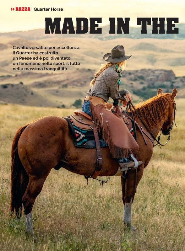 Il Mio Cav (Feb 2023) 7