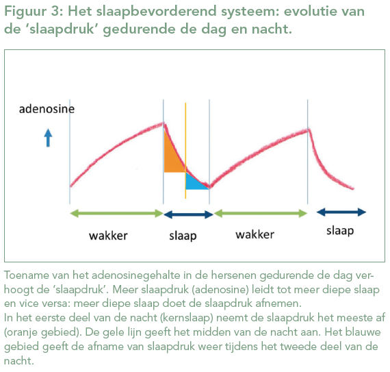 Stromectol comprar