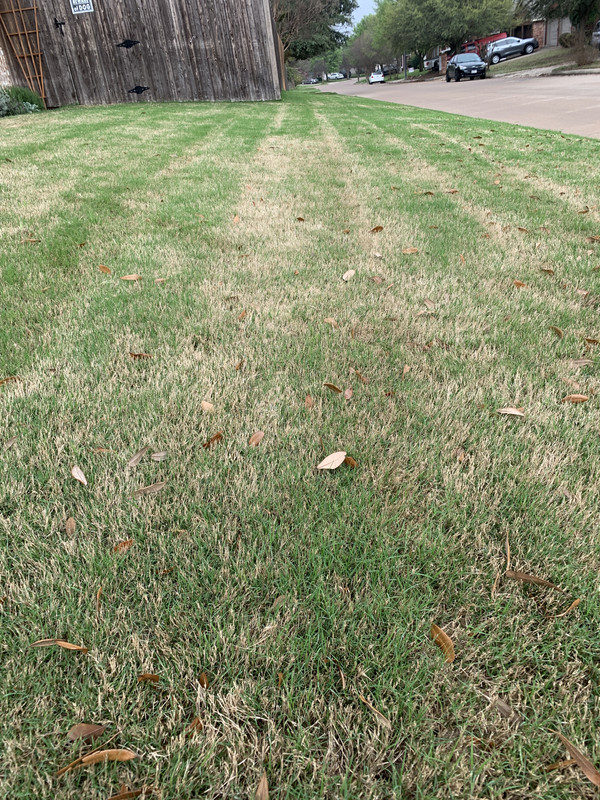 0BE1A080-2956-4CE3-8EA1-E13410214306