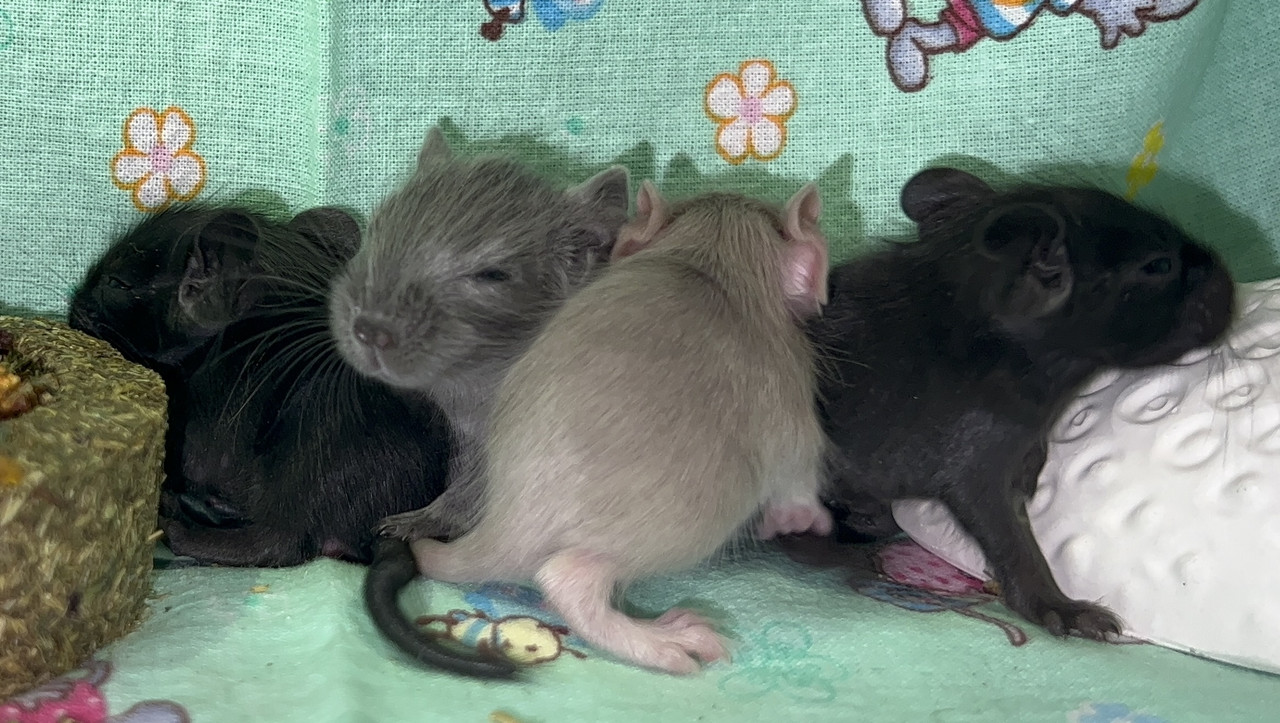 36ACD8AD-3A6A-4B29-AF1D-CA8EFF254913