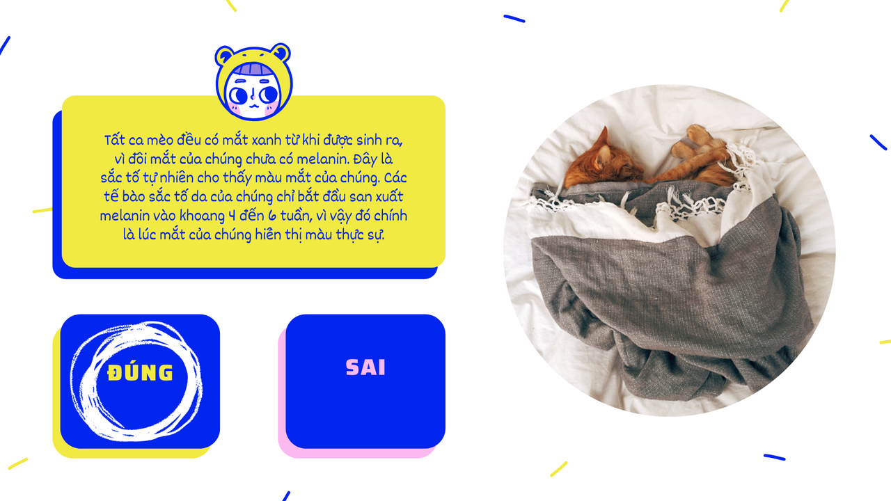 Vàng Xanh dương Hồng Trắng Vui nhộn Trẻ em Ảo Đố vui Bài thuyết trình