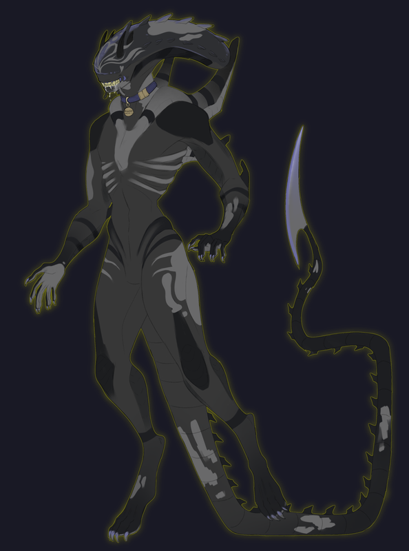 Untitled937_20240311235507