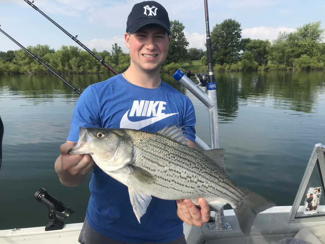 84AD76E4-5A9D-49D6-BE6F-2508FF006A71