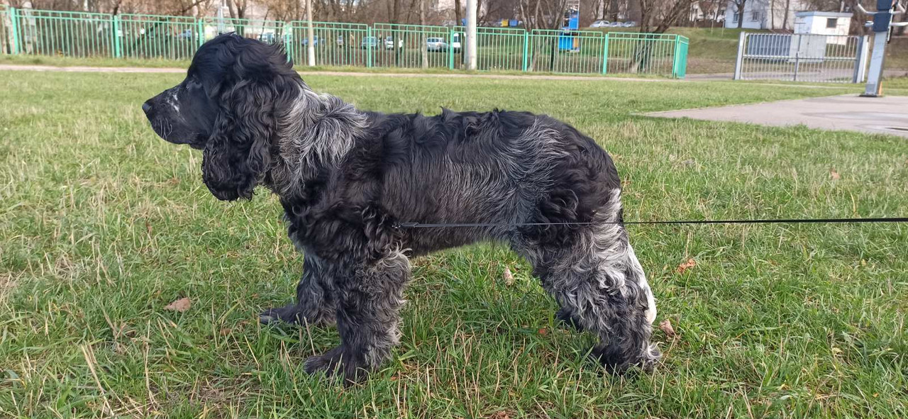 IMG-a35f4fa3fe8c6386fd961a6979d8c0a6-V