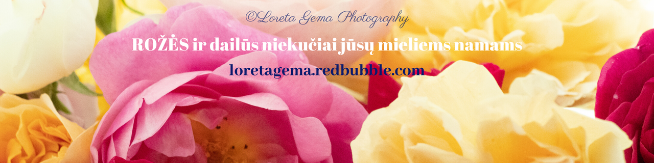 Įtraukti antraštę (10)