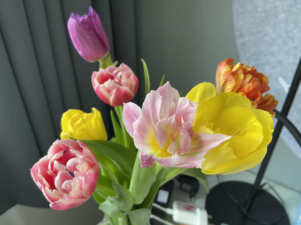 Flowers I got myself for Women's day