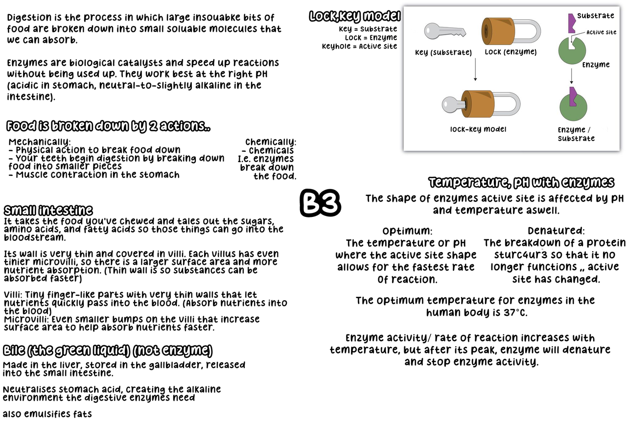 Biology image