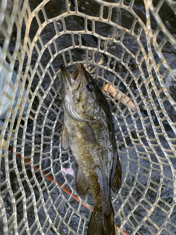 4F679FEA-F5E5-421E-AD67-764781E96971