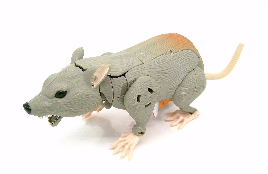 10382319_776287495724782_1773957383820838594_o