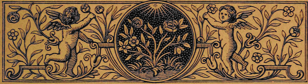 angel divider angel divider