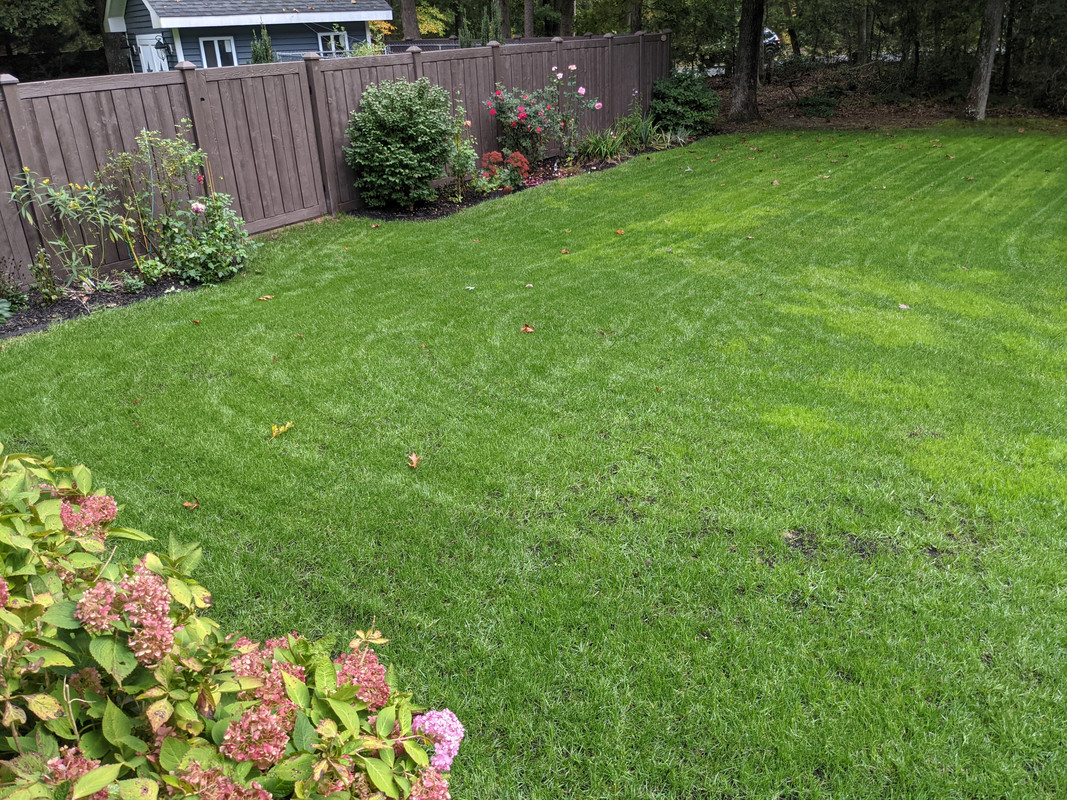 PXL_20211009_165714362