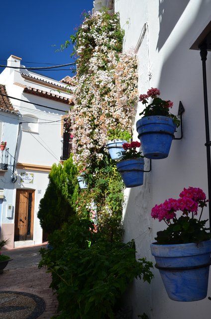 ESTEPONA-9-3-2017 - Málaga y sus pueblos-2009/2017 (199)