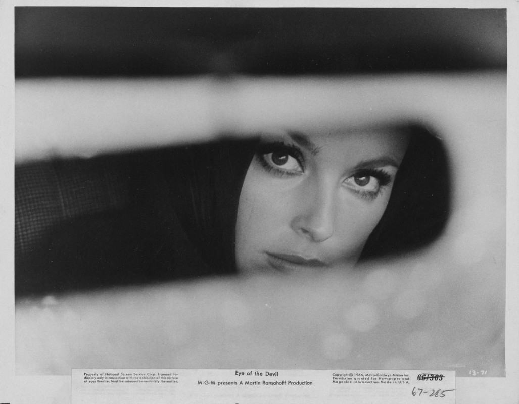 sharon tate 66 eye (3)