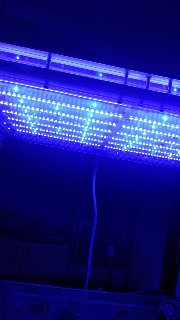 C2F741FE-3C1F-477D-967E-80C11A298688