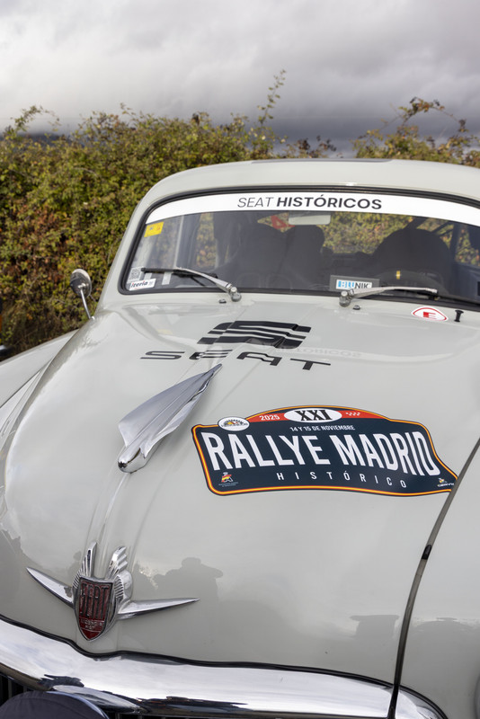 Rallye Madrid 017