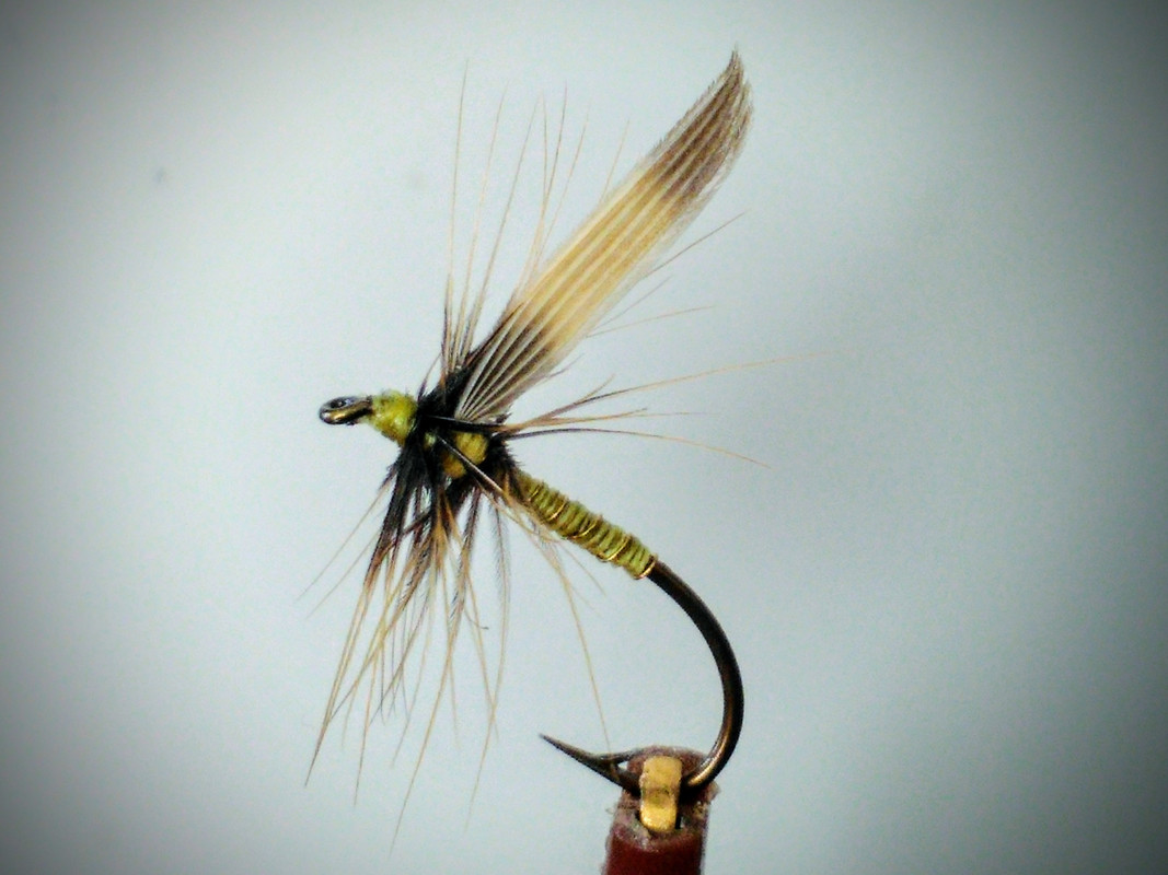 The Yorkshire Greenwell North Country wet Spider. - The Classic