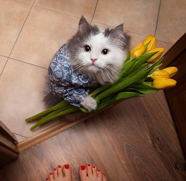 1455210586_kartinki-21