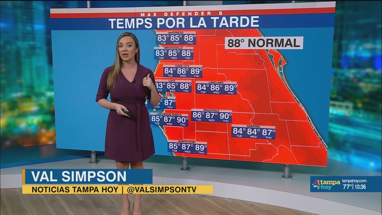 Noticias Tampa Hoy_20250513_03300400.ts_snapshot_07.53.968