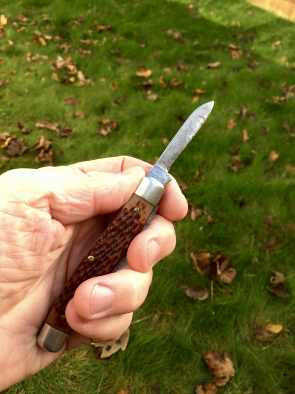 D4A01A43-12F5-49AD-8DEA-D9CB1E1BFF0D