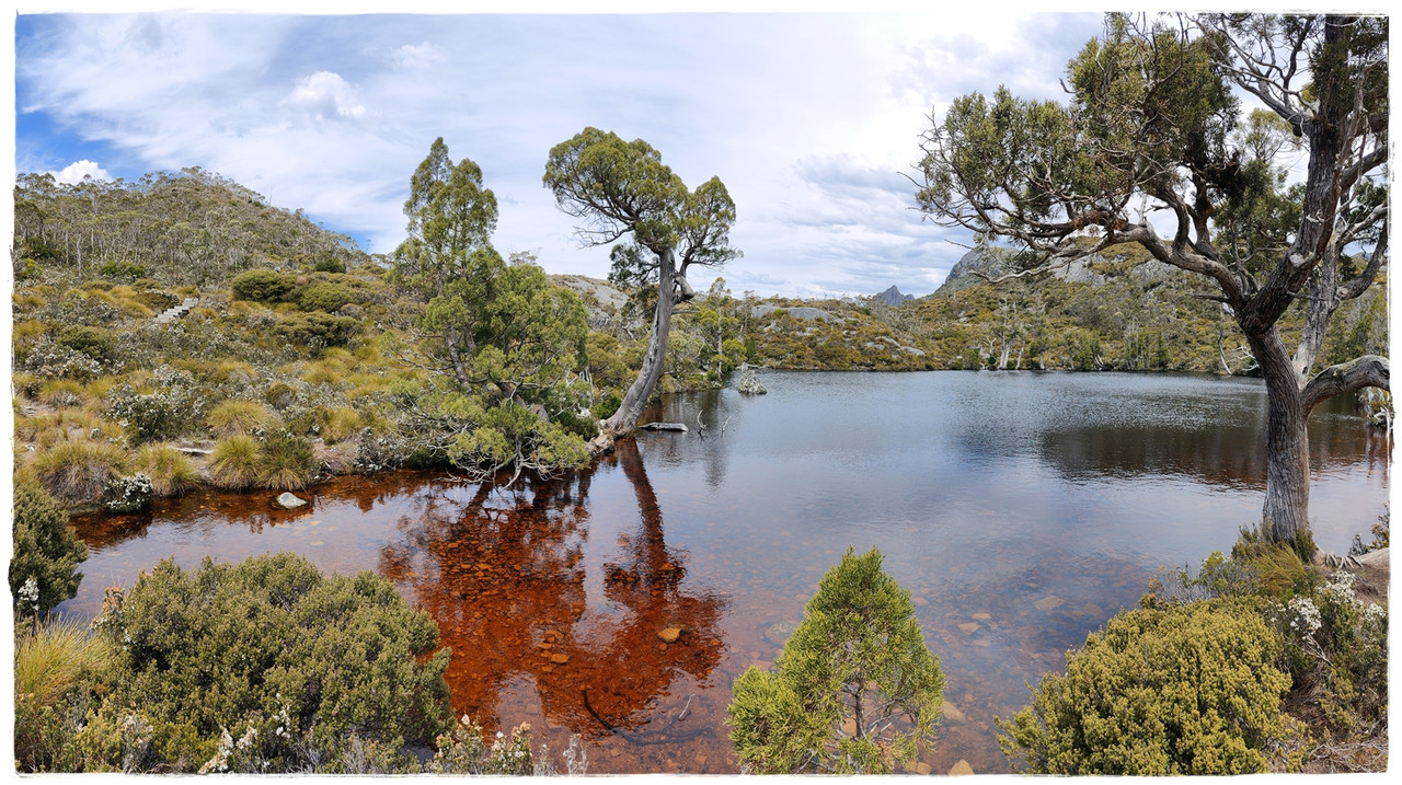 Cradle Mountain National Park - Australia (II): Recorriendo Tasmania (38)