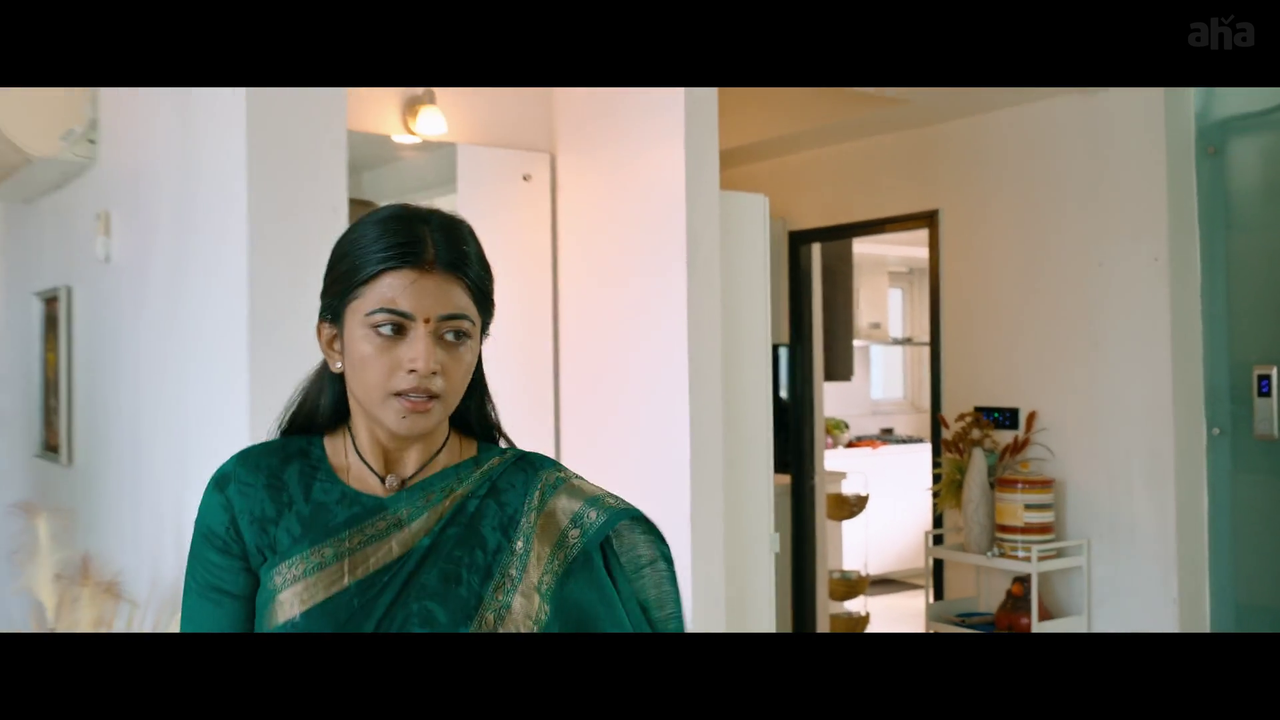 vlcsnap-2025-04-21-19h52m56s591