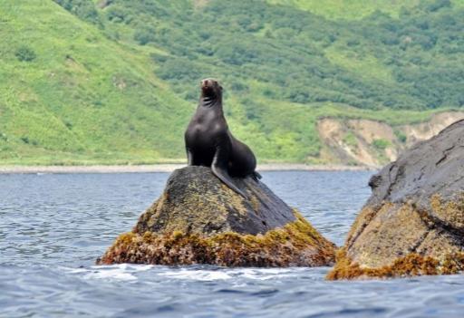 Отпуск на Сахалине