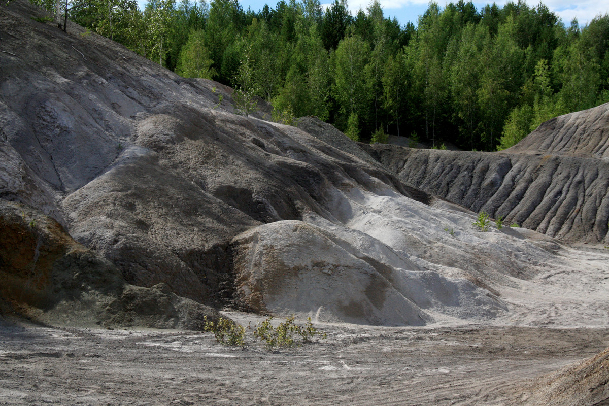 IMG_9532_обработано