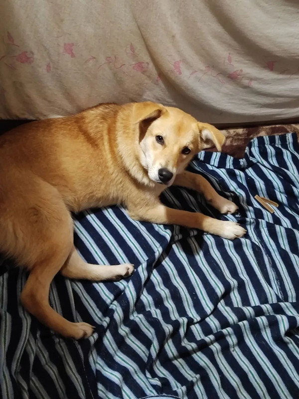 9FIimgmfsqtcz ZW90Q4Ljh1hm CXg3Wnpfz LMaxw CGCHTNsxhybl Ntv OQZ6Wb Ma IDz1p Ao Yz RUAWMFI8i OZpi En 