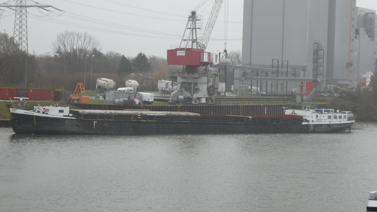 2021.12.01a Seelöwe