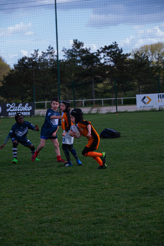 tournoi-de-latlantique-2026-adonis-griffon-104-55181692700-l