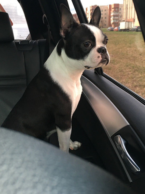 DED7FE22-C7C6-4628-A00C-3B3EE4CBD2B1