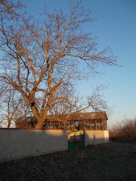 Slika