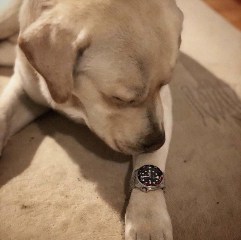 D4E0B5C3-17CE-4263-93DA-1CE14284CA0D