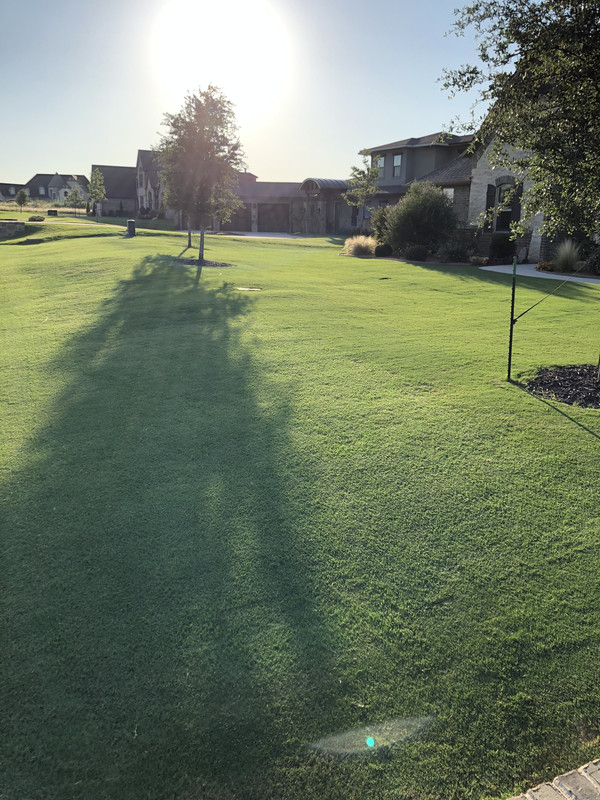 F9D3A558-1868-414F-9596-5120339B2658