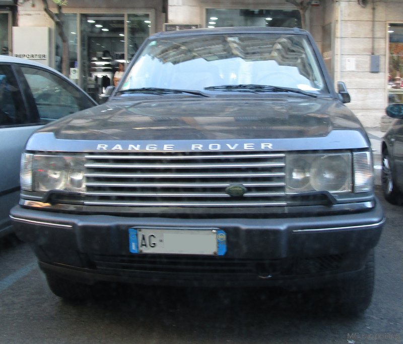 IMG-2960.jpg