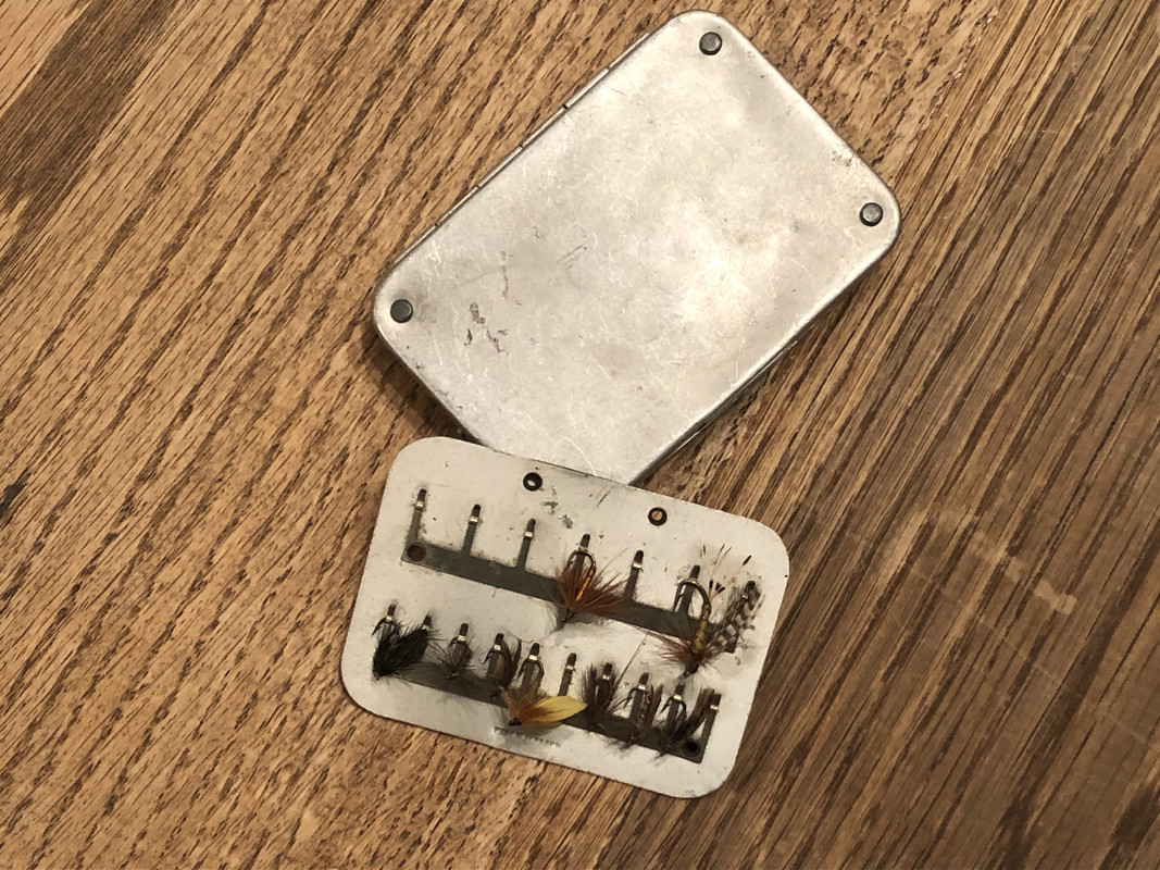 0FDBA984-8950-4C52-95DF-F4F4FF05164B