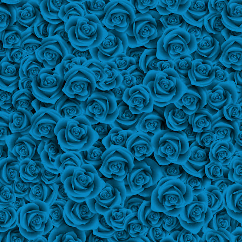 TADD_BlueLove_papiers (8)