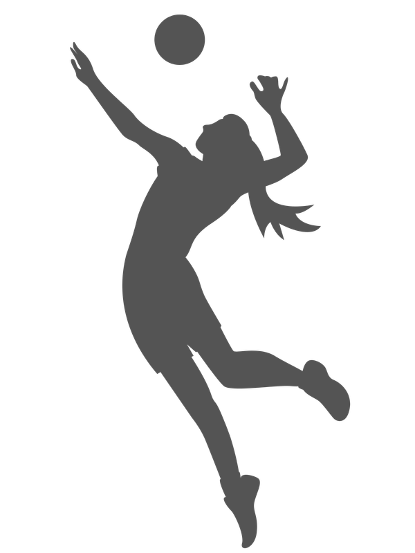 Volleyball