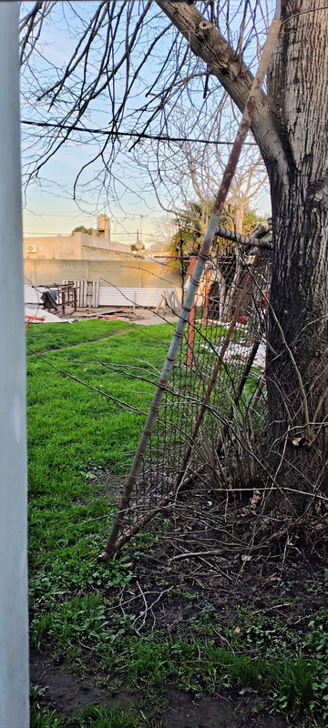 IMG_20250723_173326532_HDR_AE