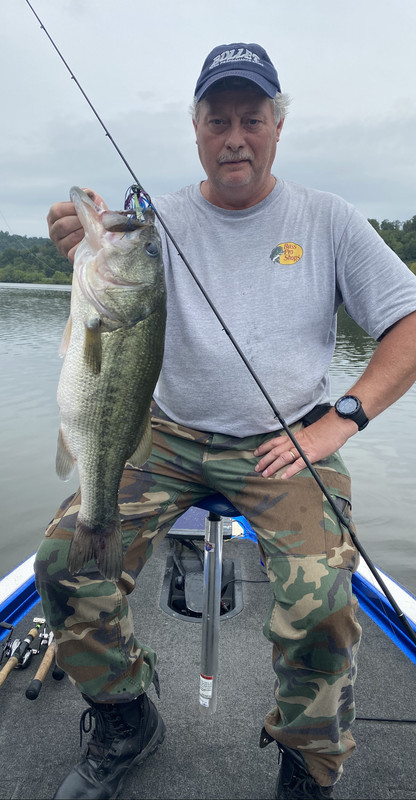 247461BB-7837-4ABF-B32C-1159DC640DBA