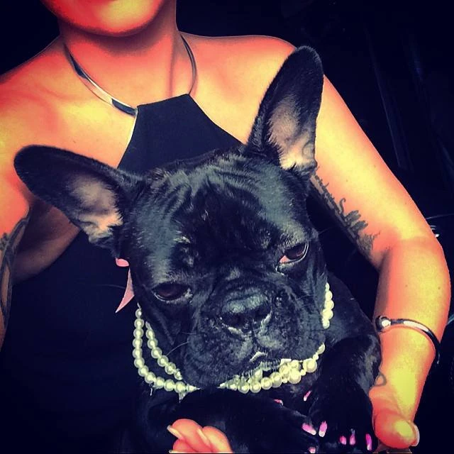 12-6-14-Instagram-002.webp