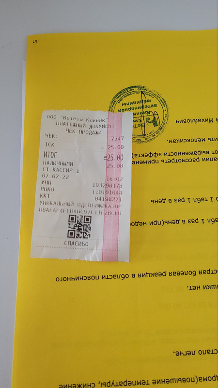 изображение_viber_2022-02-07_16-02-24-414