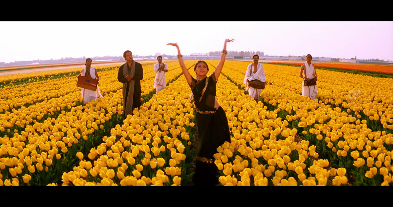 VideoCapture_20241122-195410