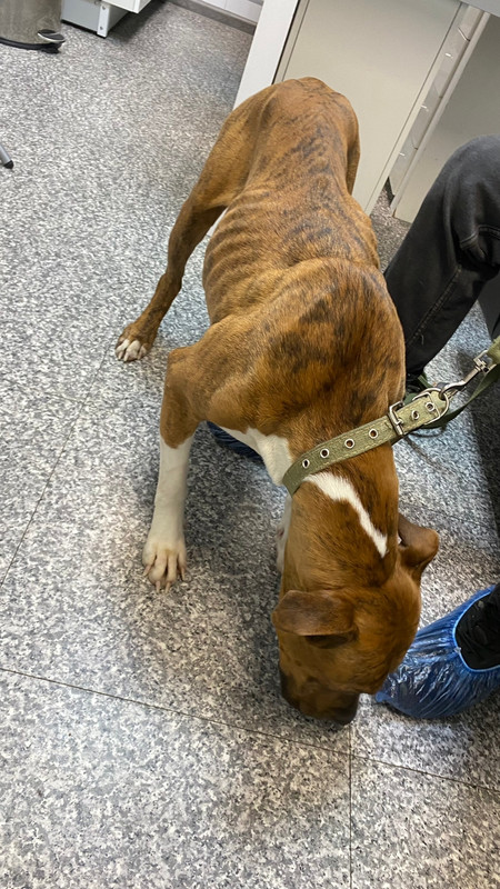 WhatsApp Image 2022-12-24 at 03.29.21 (1)