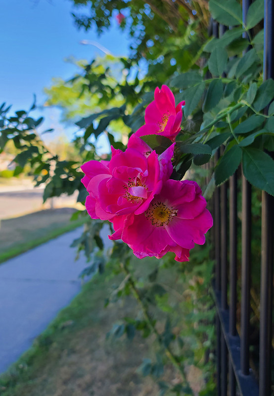 [Image: 20220901-163511.jpg]