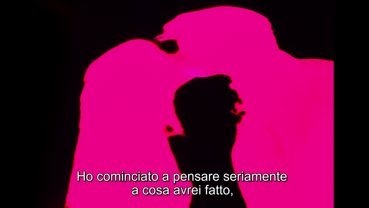 vlcsnap-2022-12-21-20h04m34s986