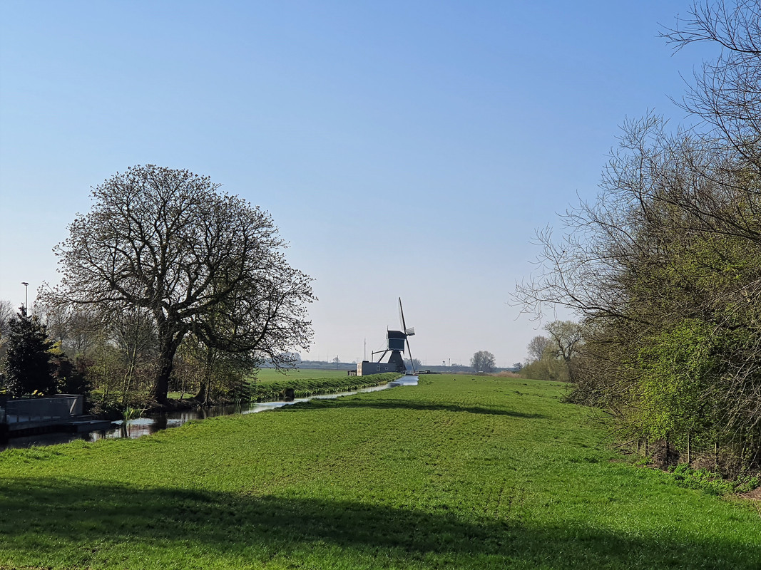 Pieter Zuijkerbuijk, Weijpoortse Molen 03 Nieuwerbrug 05-04-2020